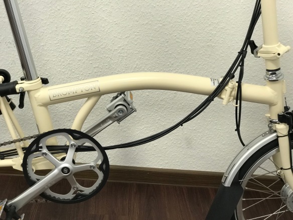 Ivory Ivory